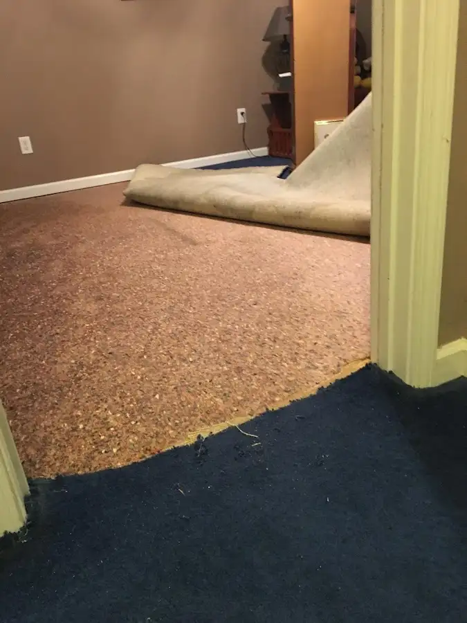 Carpet pad removal revealing water damage during Drying & Dehumidification in Seven Corners