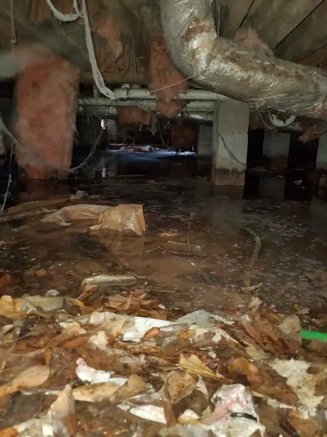 Crawl space flood assessment for Leak Detection & Repair in Seven Corners