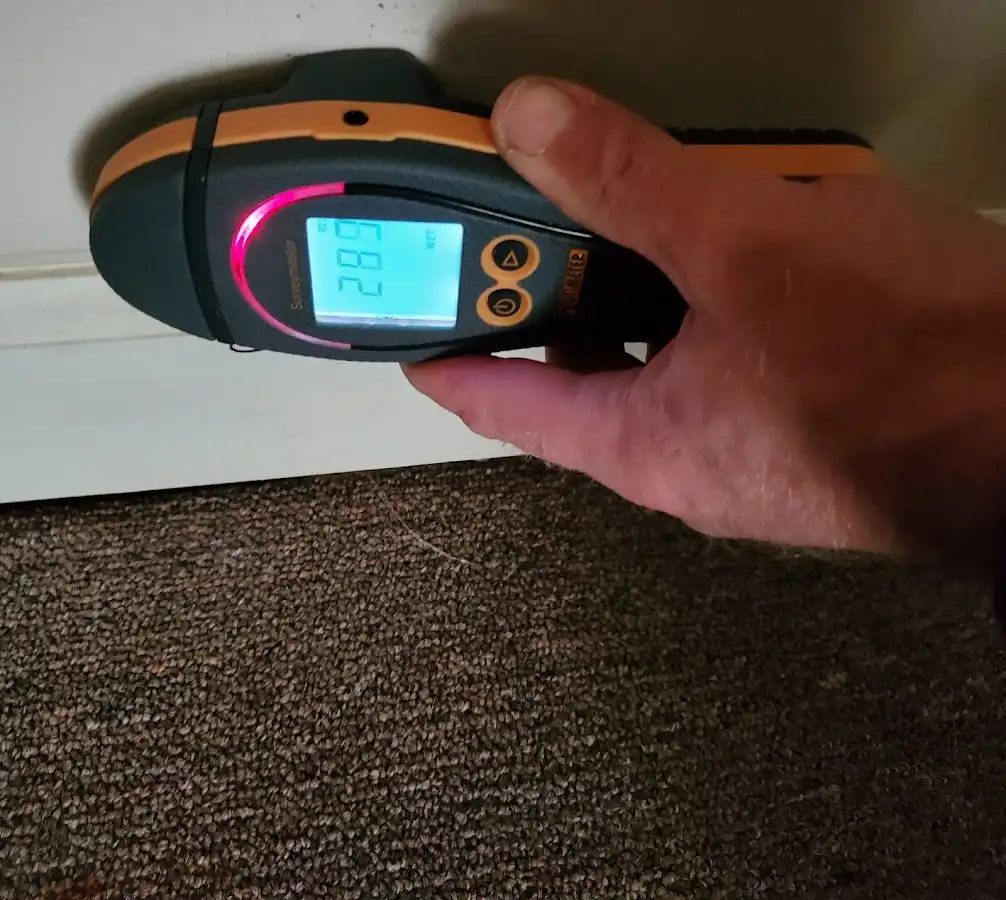 Moisture detection at baseboard during Sewage Cleanup & Sanitation in Seven Corners